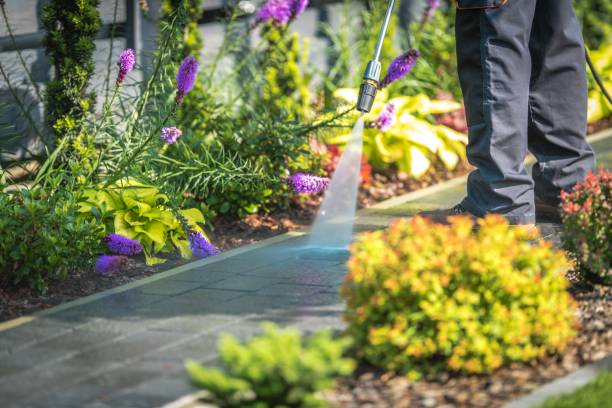 Best Boat and Dock Cleaning  in Junction City, CA